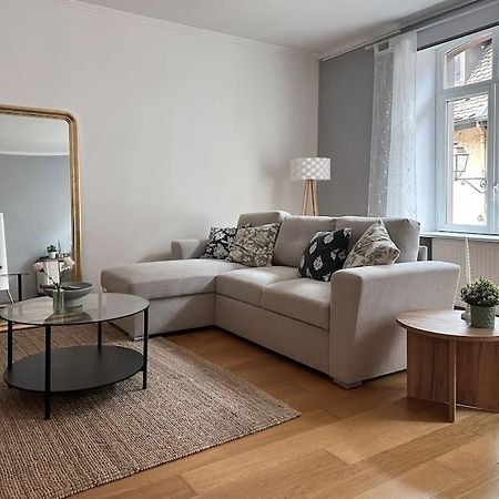 Hypercentre 80M2, A Deux Pas Du Chateau Des Rohan Saverne Zewnętrze zdjęcie