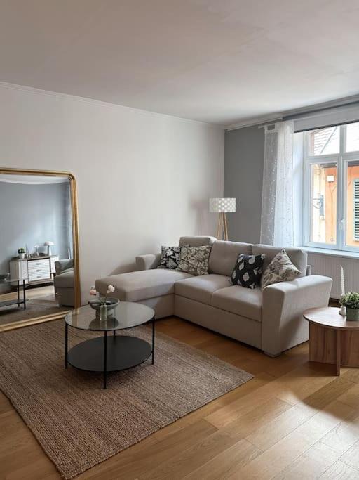 Hypercentre 80M2, A Deux Pas Du Chateau Des Rohan Saverne Zewnętrze zdjęcie