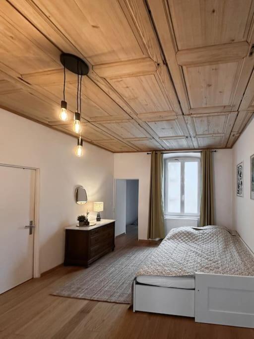 Hypercentre 80M2, A Deux Pas Du Chateau Des Rohan Saverne Zewnętrze zdjęcie